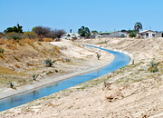 Organisation & Management